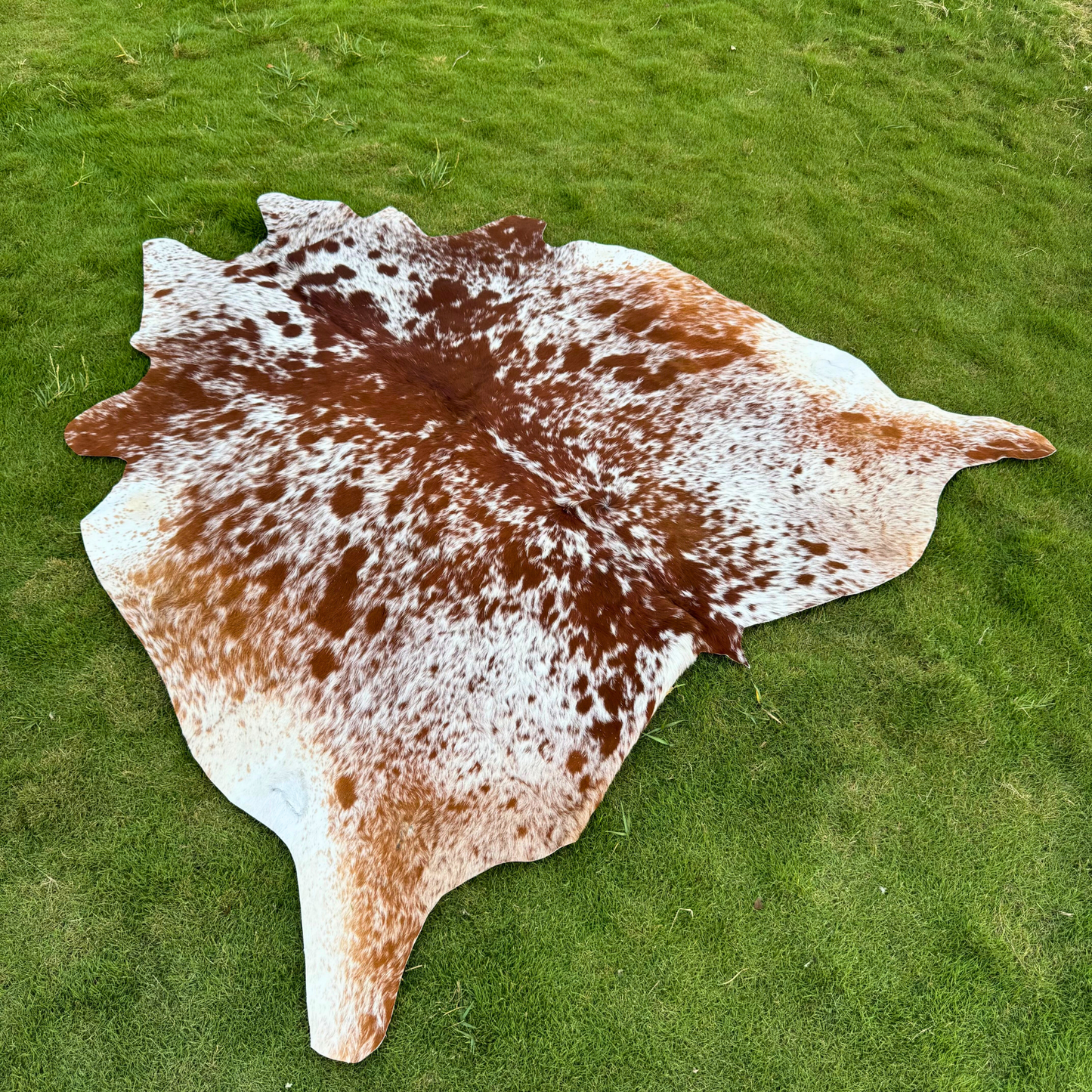 Cowhide Tricolor Rugs | Natural Leather Floor Decor – Hypoallergenic & Pet-Friendly Cowhide Kingdom