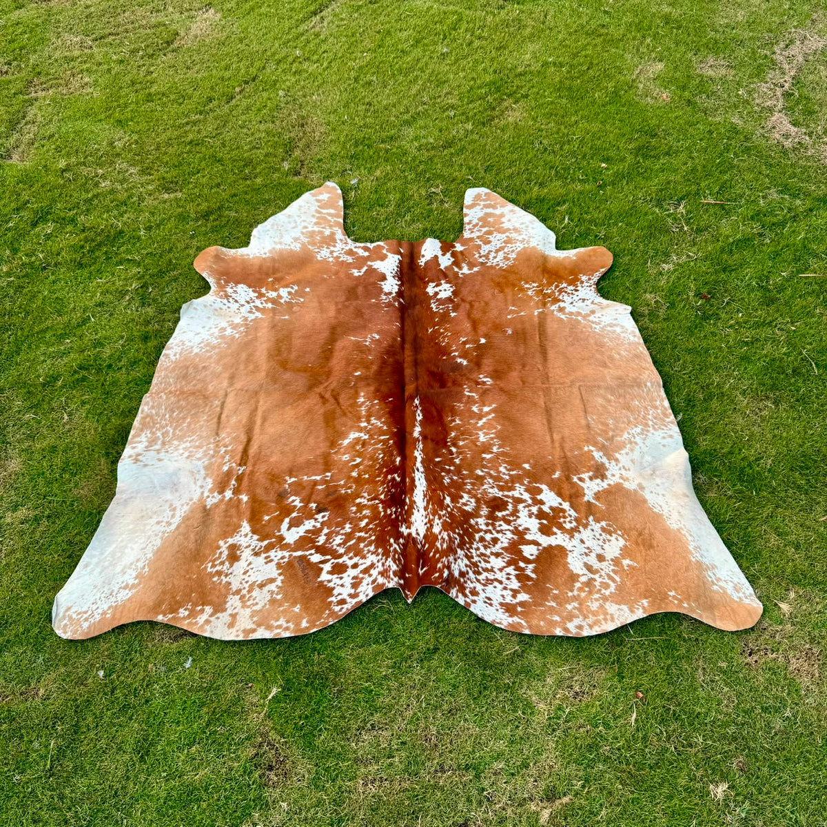 A natural cowhide rug with a brown and white speckled pattern, laid flat on a green grass lawn.