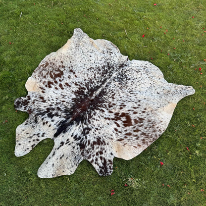 A natural cowhide rug with a black and white spotted pattern and a dark brown center, laid flat on a green grass lawn.