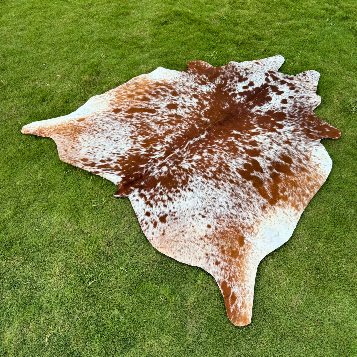 Natural Cowhide Rug 3.36m