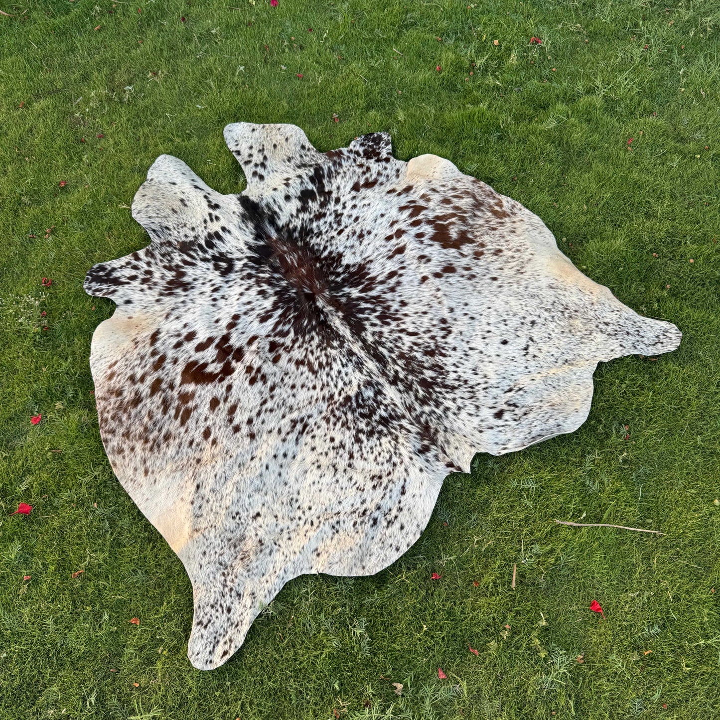 A natural cowhide rug with a brown and black spotted pattern on a cream and light blue base, laid flat on a green grass lawn.