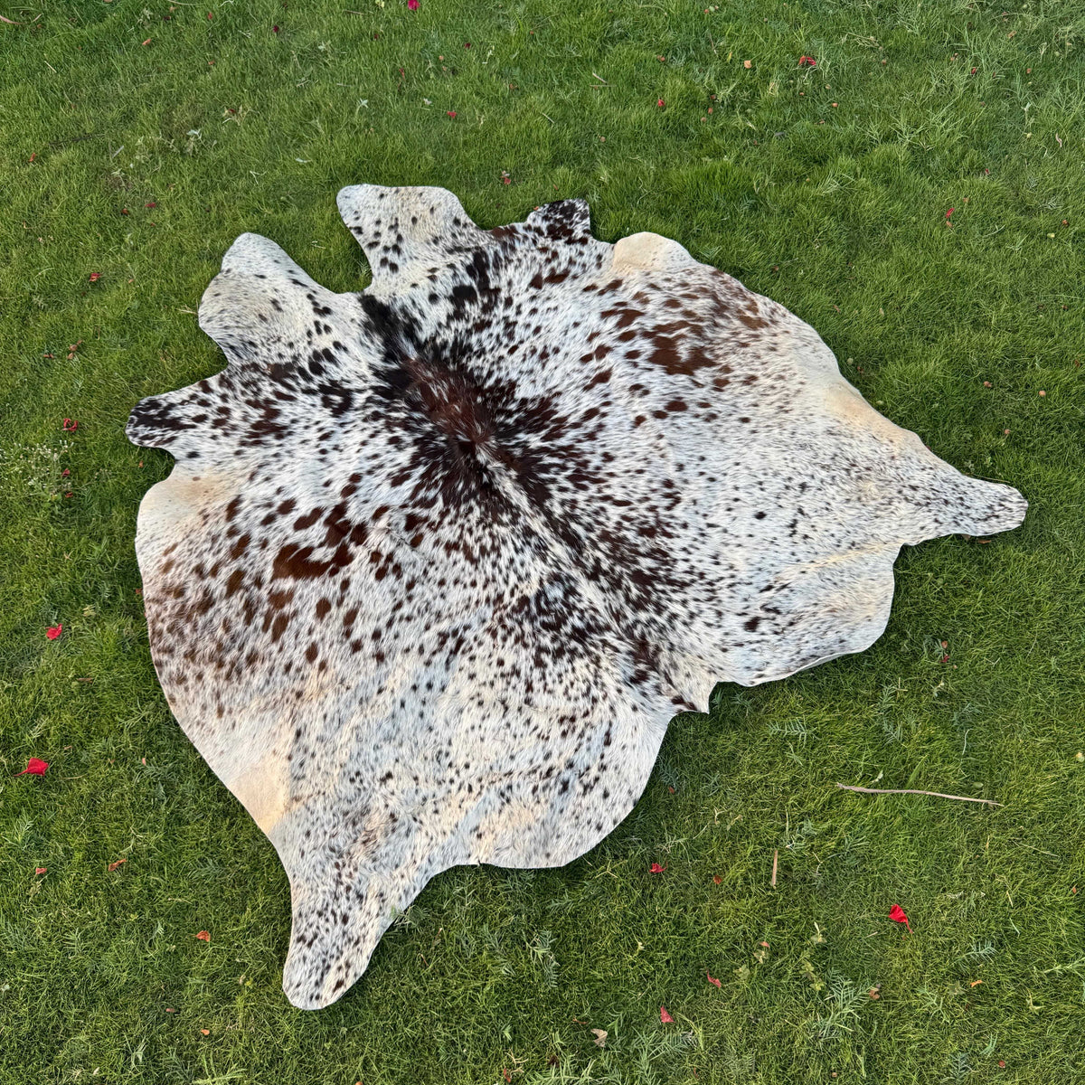 A natural cowhide rug with a brown and black spotted pattern on a cream and light blue base, laid flat on a green grass lawn.