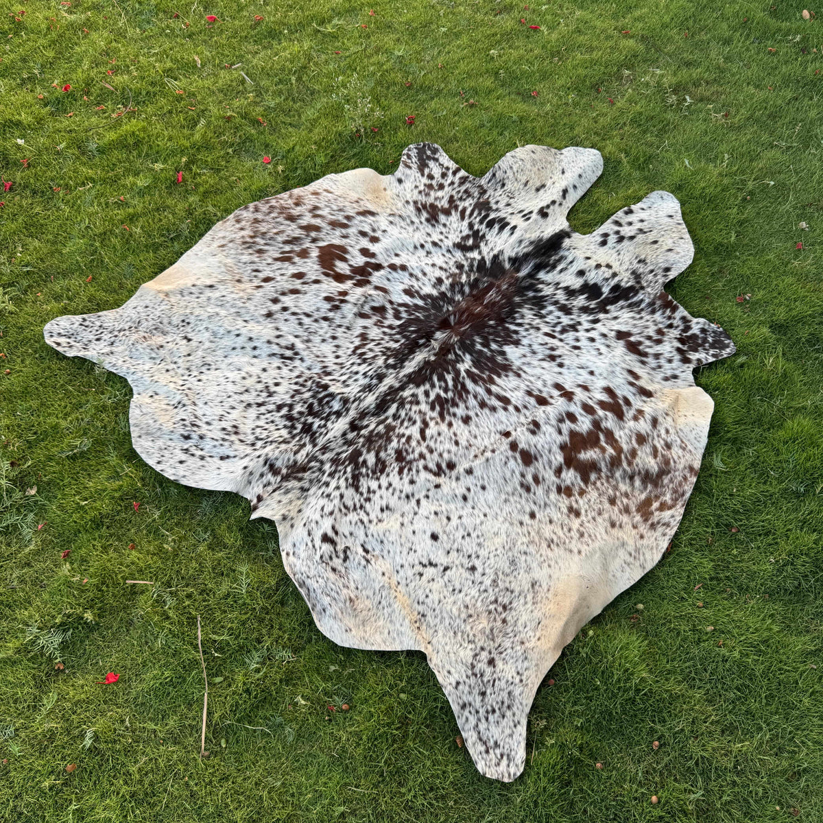 A natural cowhide rug with a black and white speckled pattern and warm tan patches, laid flat on a green grass lawn.