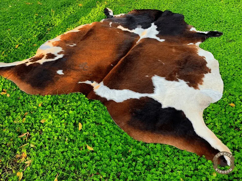 Special Brown and White Tricolor Cowhide Rug - Cowhide Kingdom