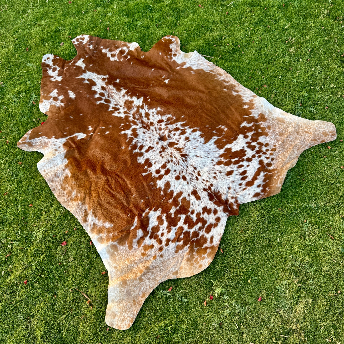 Brown Cowhide Rug Large | Real Hair-On Cowhide | Bedroom Living Room Cowhide Rug Home Decor