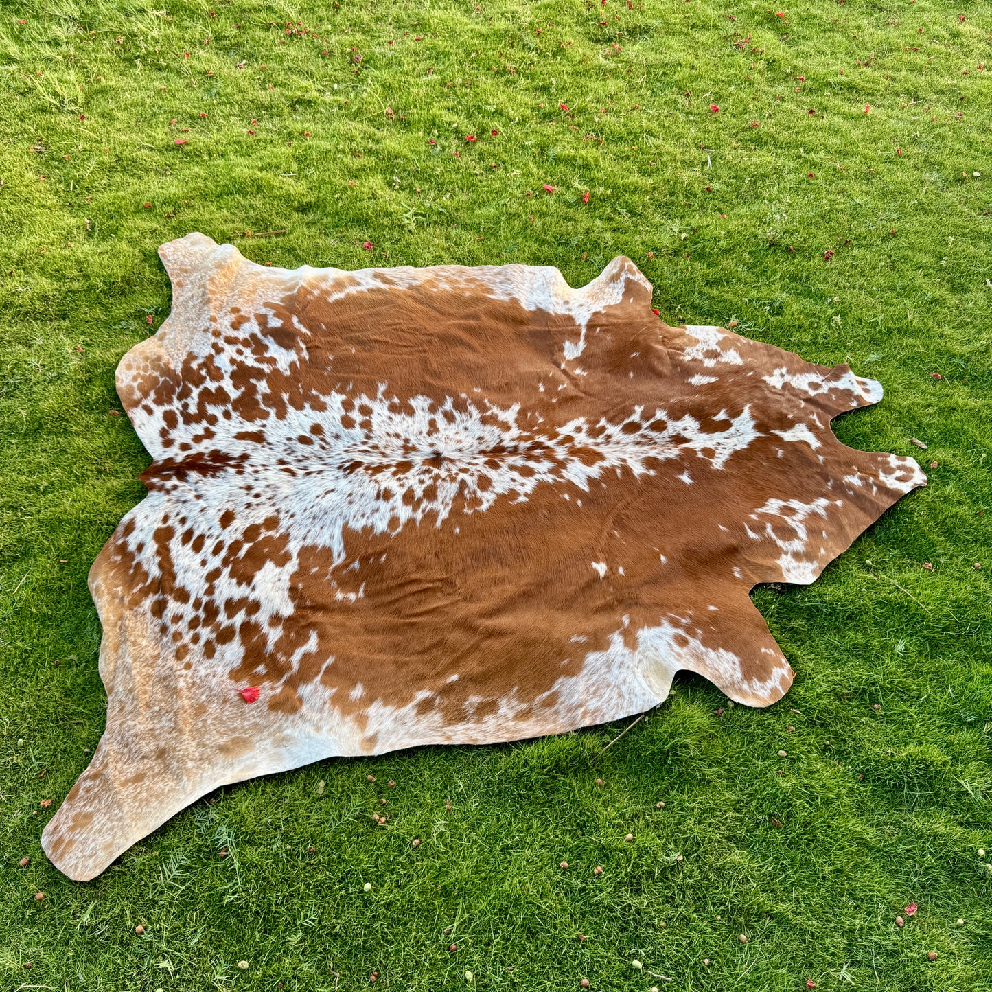 Brown Cowhide Rug Large | Real Hair-On Cowhide | Bedroom Living Room Cowhide Rug Home Decor