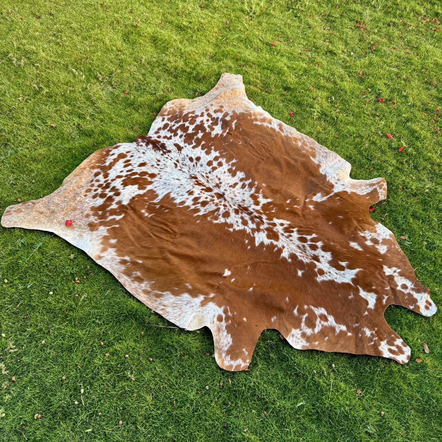 Brown Cowhide Rug Large | Real Hair-On Cowhide | Bedroom Living Room Cowhide Rug Home Decor