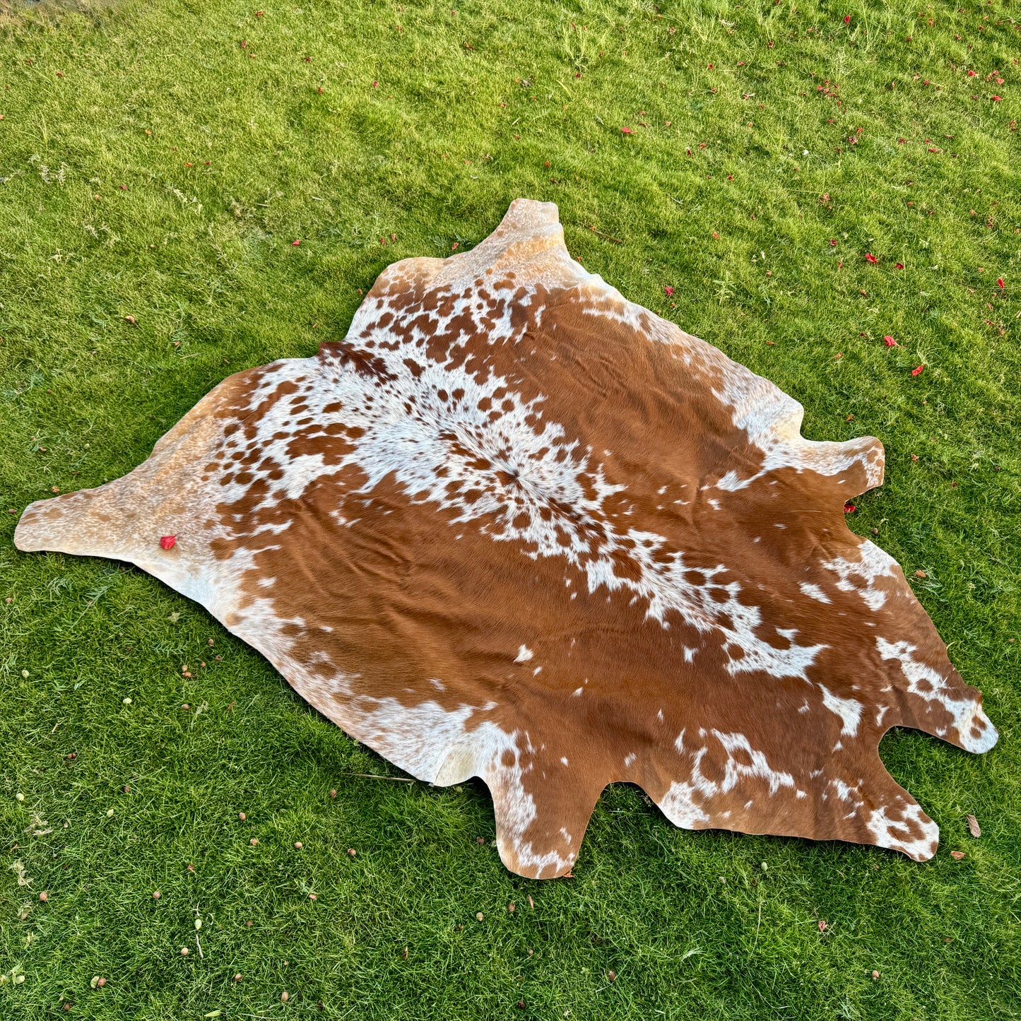 Brown Cowhide Rug Large | Real Hair-On Cowhide | Bedroom Living Room Cowhide Rug Home Decor