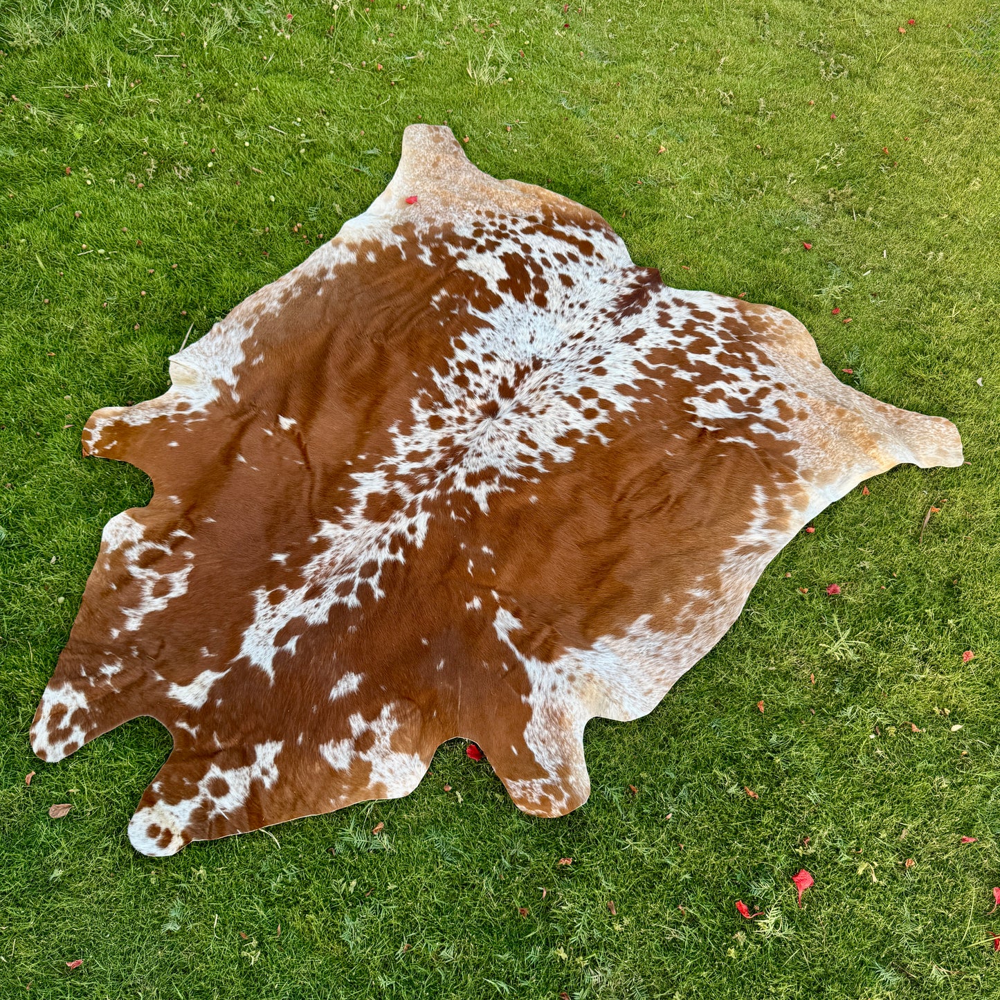 Brown Cowhide Rug Large | Real Hair-On Cowhide | Bedroom Living Room Cowhide Rug Home Decor