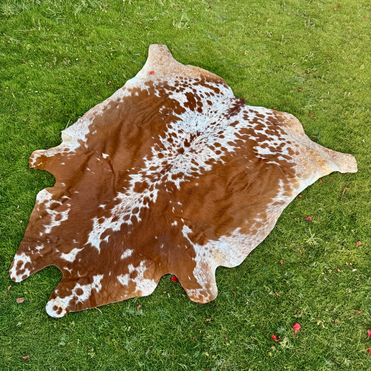 Brown Cowhide Rug Large | Real Hair-On Cowhide | Bedroom Living Room Cowhide Rug Home Decor