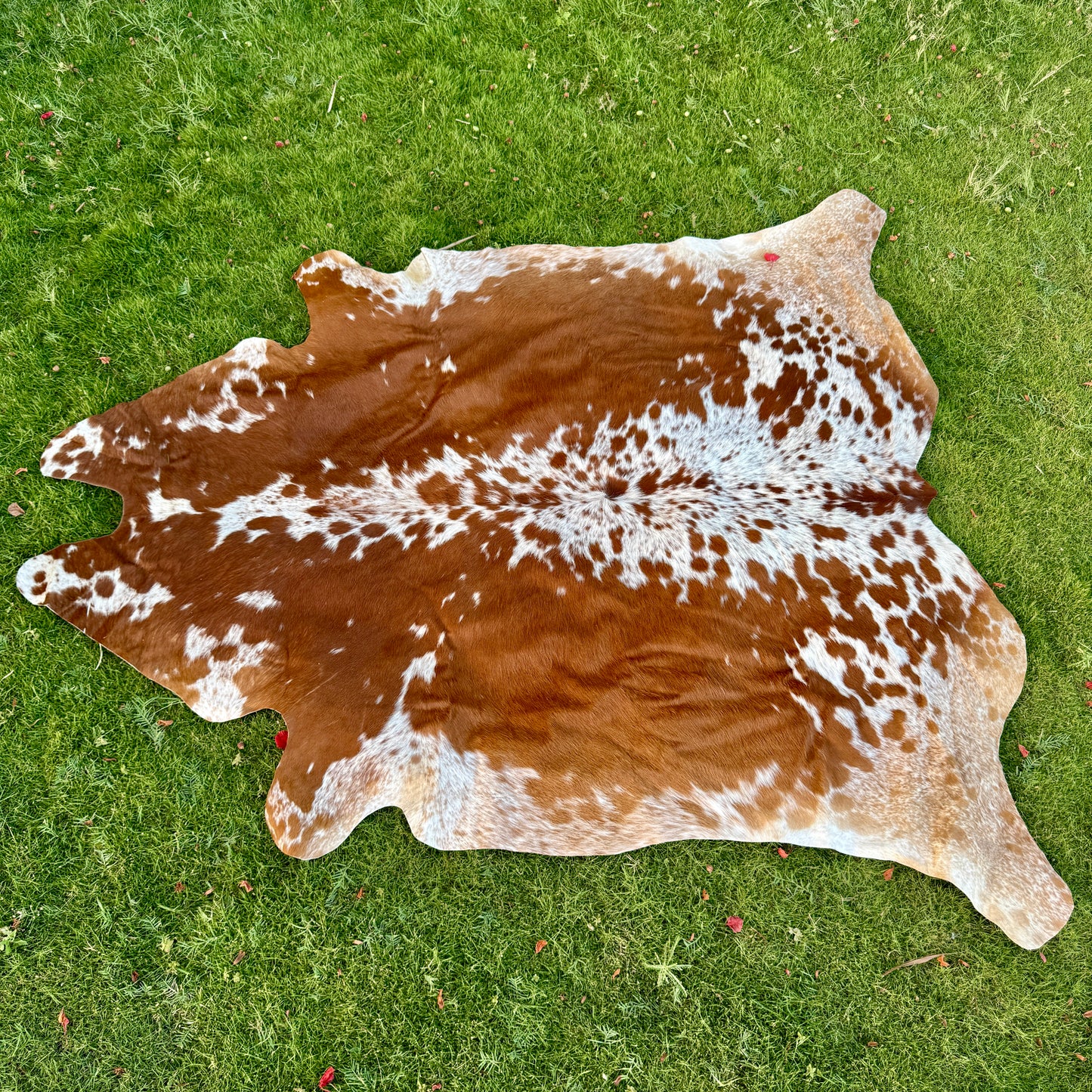 Brown Cowhide Rug Large | Real Hair-On Cowhide | Bedroom Living Room Cowhide Rug Home Decor