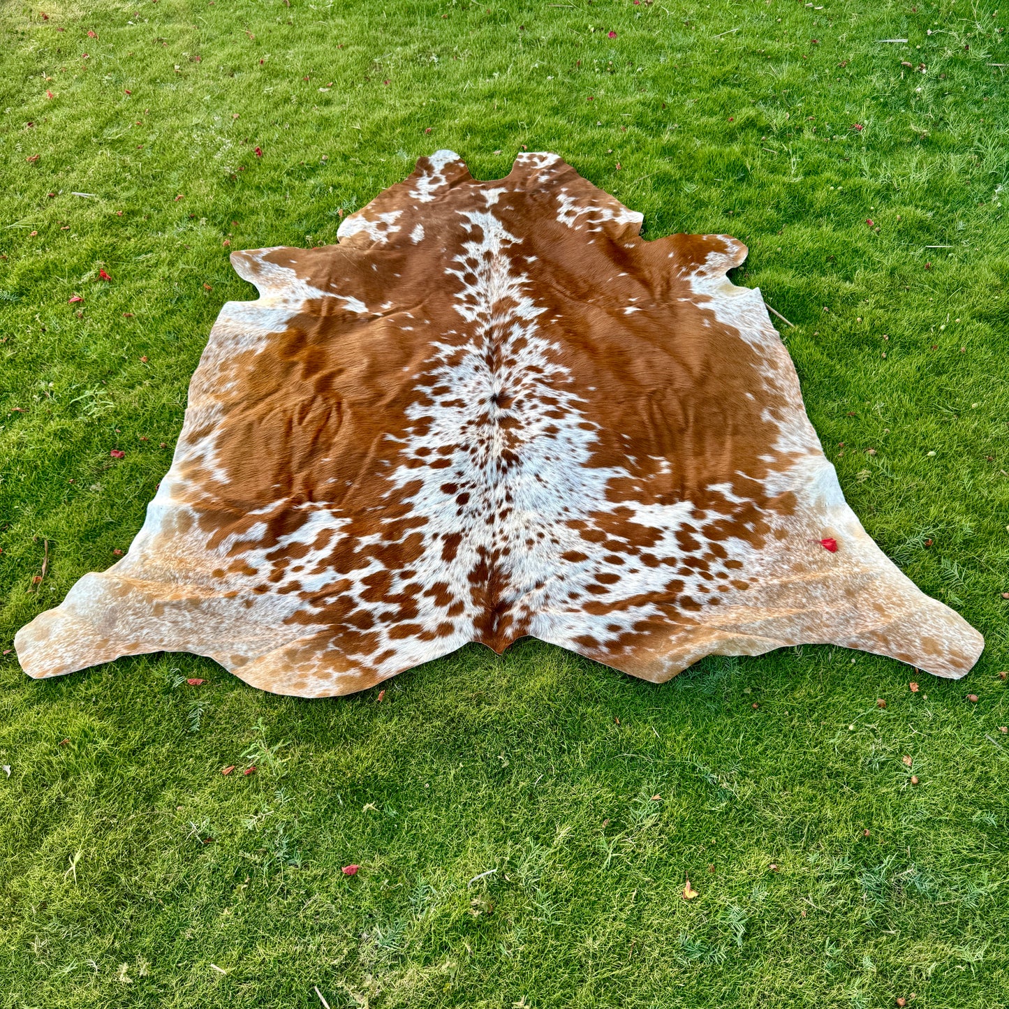 Brown Cowhide Rug Large | Real Hair-On Cowhide | Bedroom Living Room Cowhide Rug Home Decor