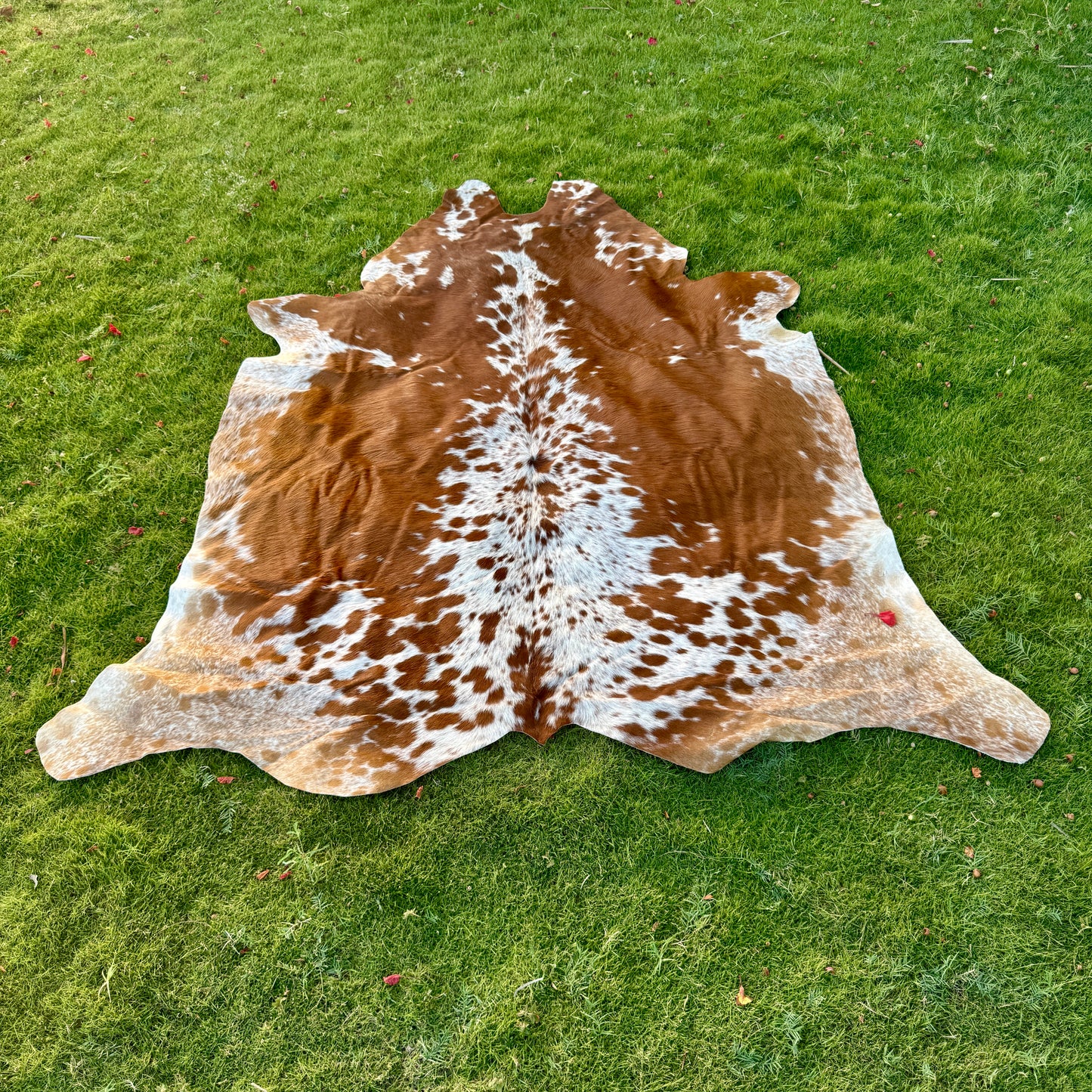 Brown Cowhide Rug Large | Real Hair-On Cowhide | Bedroom Living Room Cowhide Rug Home Decor