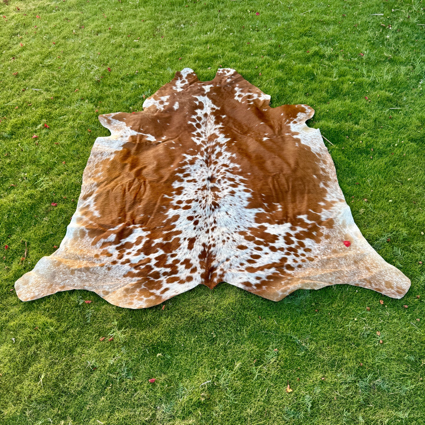 Brown Cowhide Rug Large | Real Hair-On Cowhide | Bedroom Living Room Cowhide Rug Home Decor