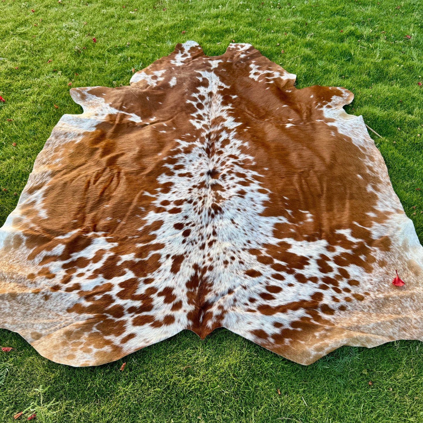 Brown Cowhide Rug Large | Real Hair-On Cowhide | Bedroom Living Room Cowhide Rug Home Decor