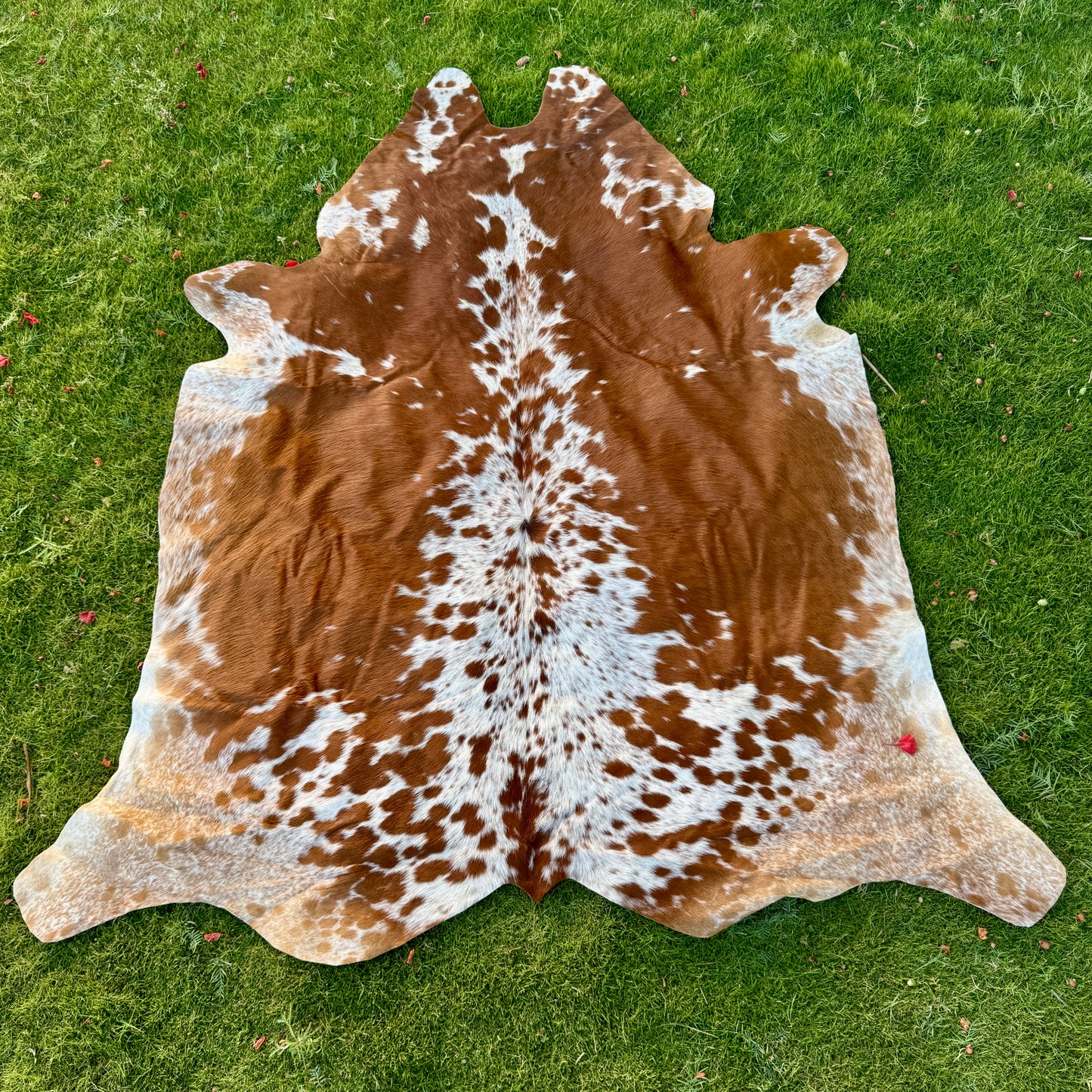 Brown Cowhide Rug Large | Real Hair-On Cowhide | Bedroom Living Room Cowhide Rug Home Decor