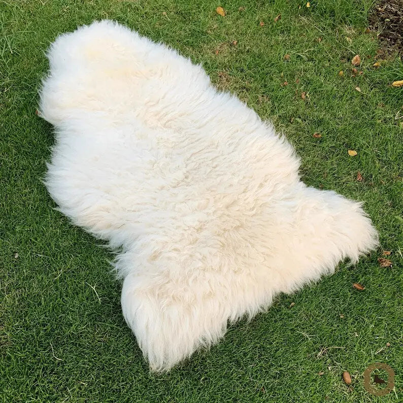 Real fur sheepskin rug styled in a cozy living room corner