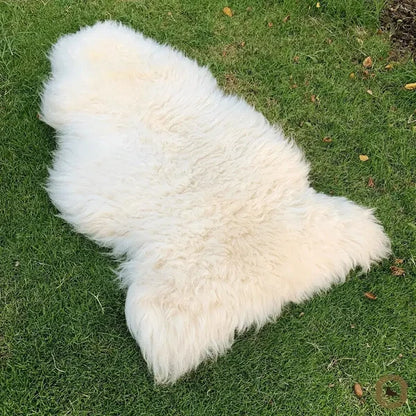 A fluffy white sheepskin rug laid out on green grass outdoors.