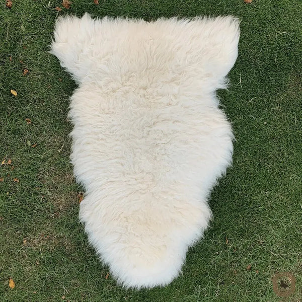 A fluffy white sheepskin rug laid flat on green grass.
