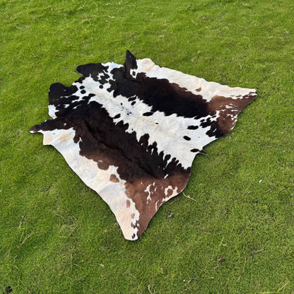 A natural cowhide rug with a black, white, and brown spotted pattern laid out on a green grass lawn.
