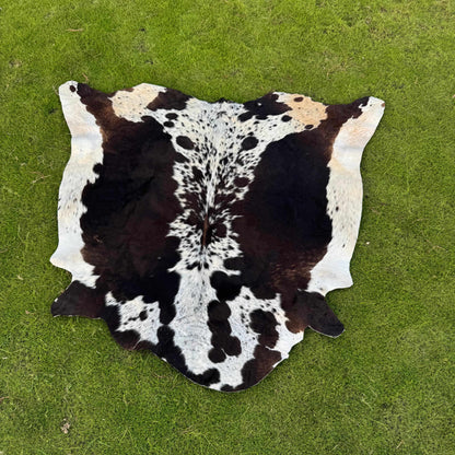 A natural cowhide rug with a black and white spotted pattern and a small tan patch, laid flat on a green grass lawn.