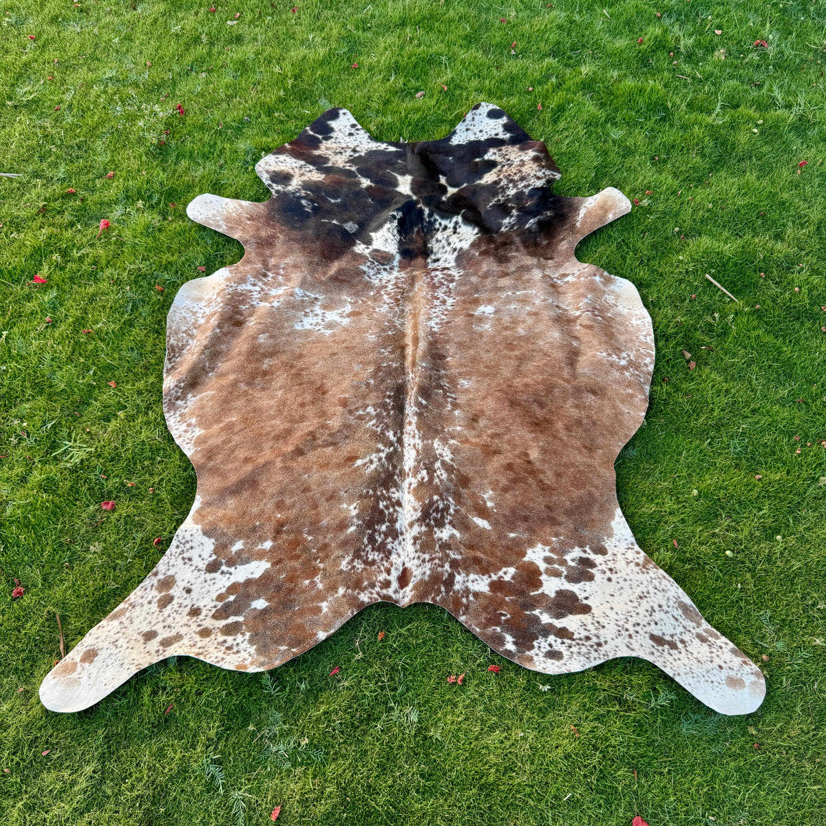 A natural cowhide rug with brown, black, and white mottled patches laid flat on a green grass lawn.
