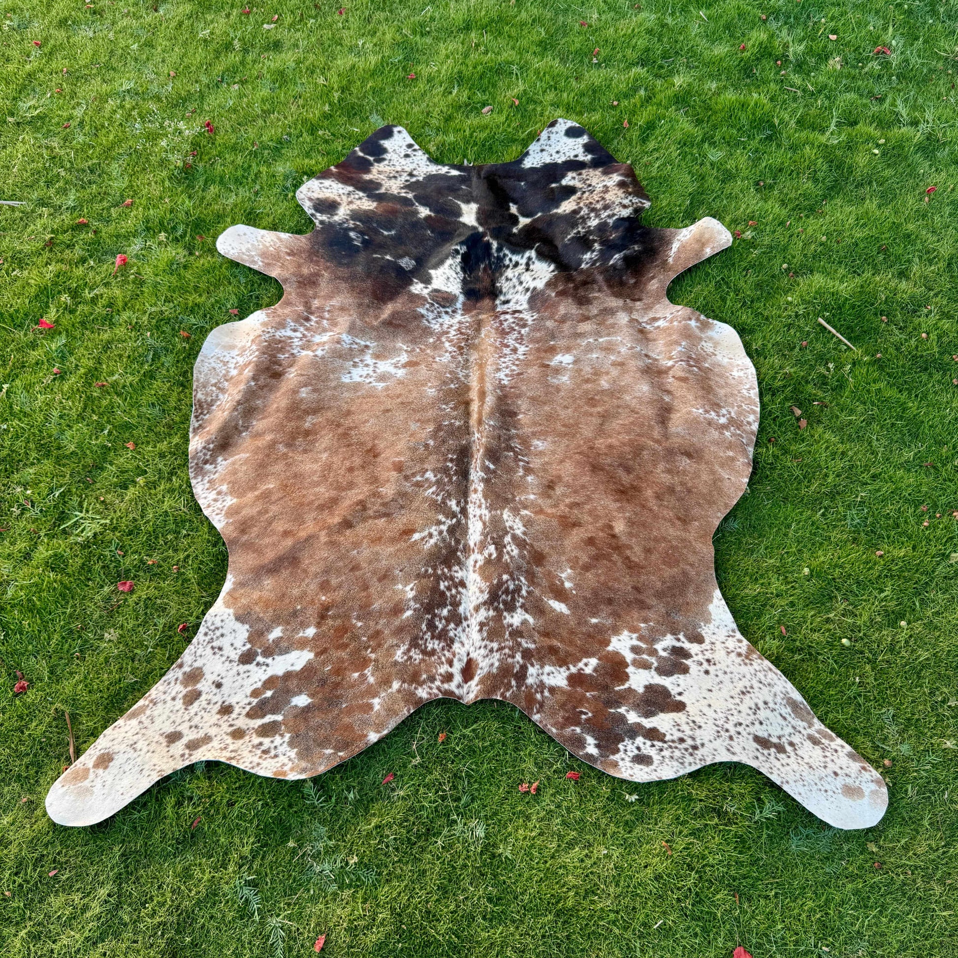 A natural cowhide rug with brown, black, and white mottled patches laid flat on a green grass lawn.