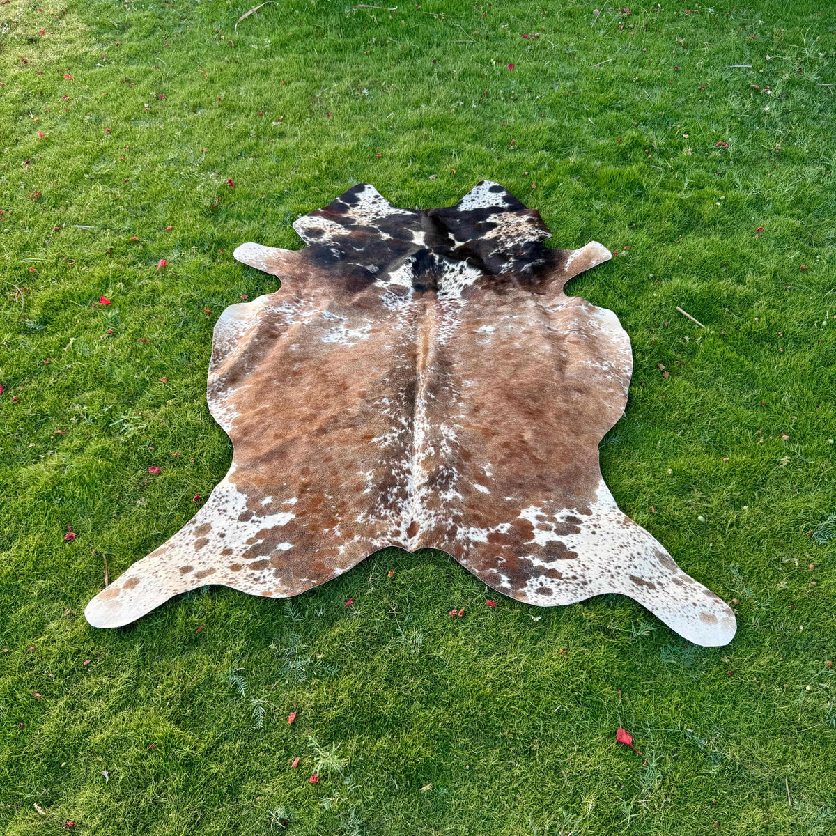 A natural cowhide rug with a brown, black, and white spotted pattern laid out on a green grass lawn.