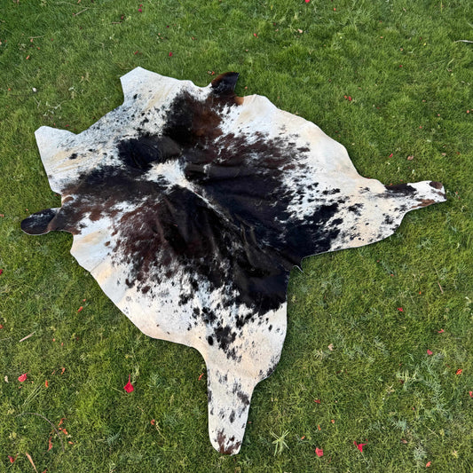 A natural black and white cowhide rug laid flat on a green grass lawn.