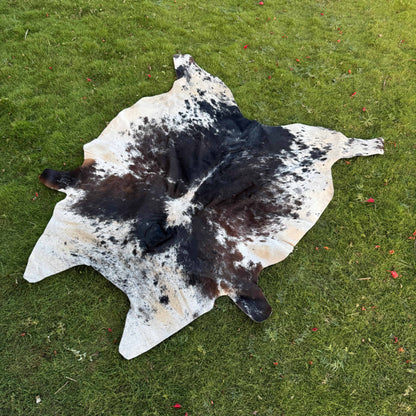 A natural cowhide rug with a black and white spotted pattern laid out on a green grass lawn.