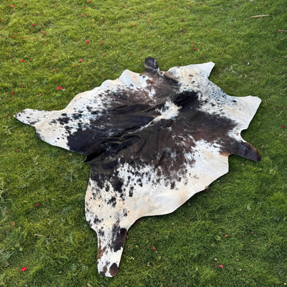 A natural cowhide rug with a black and white mottled pattern laid out on a green grass lawn.