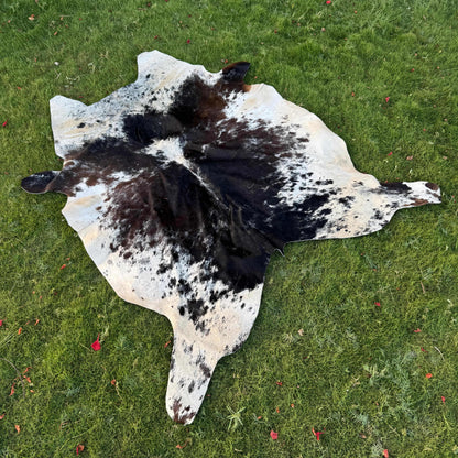 A natural black and white cowhide rug laid flat on a green grass lawn.
