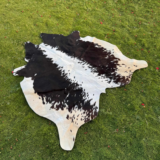 A natural black and white cowhide rug laid flat on a green grass lawn.
