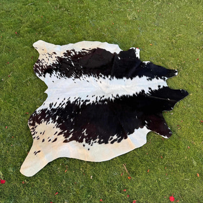 A natural black and white cowhide rug laid flat on a green grass lawn.
