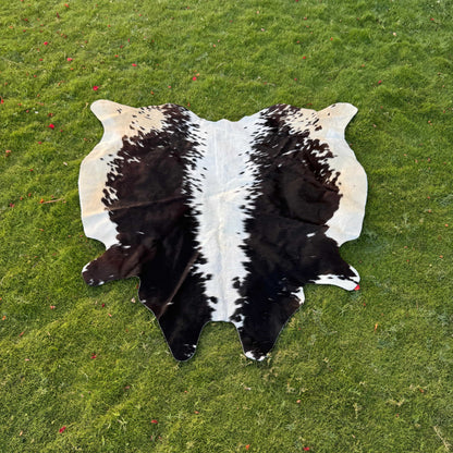 A natural black and white cowhide rug laid flat on a green grass lawn.