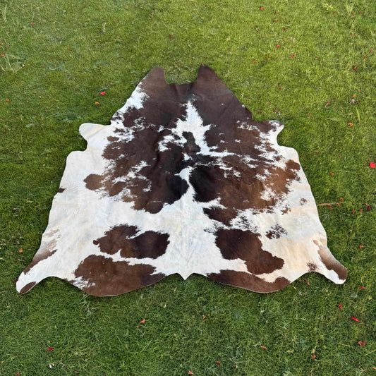 A natural cowhide rug with a brown and white spotted pattern laid flat on a green grass lawn.