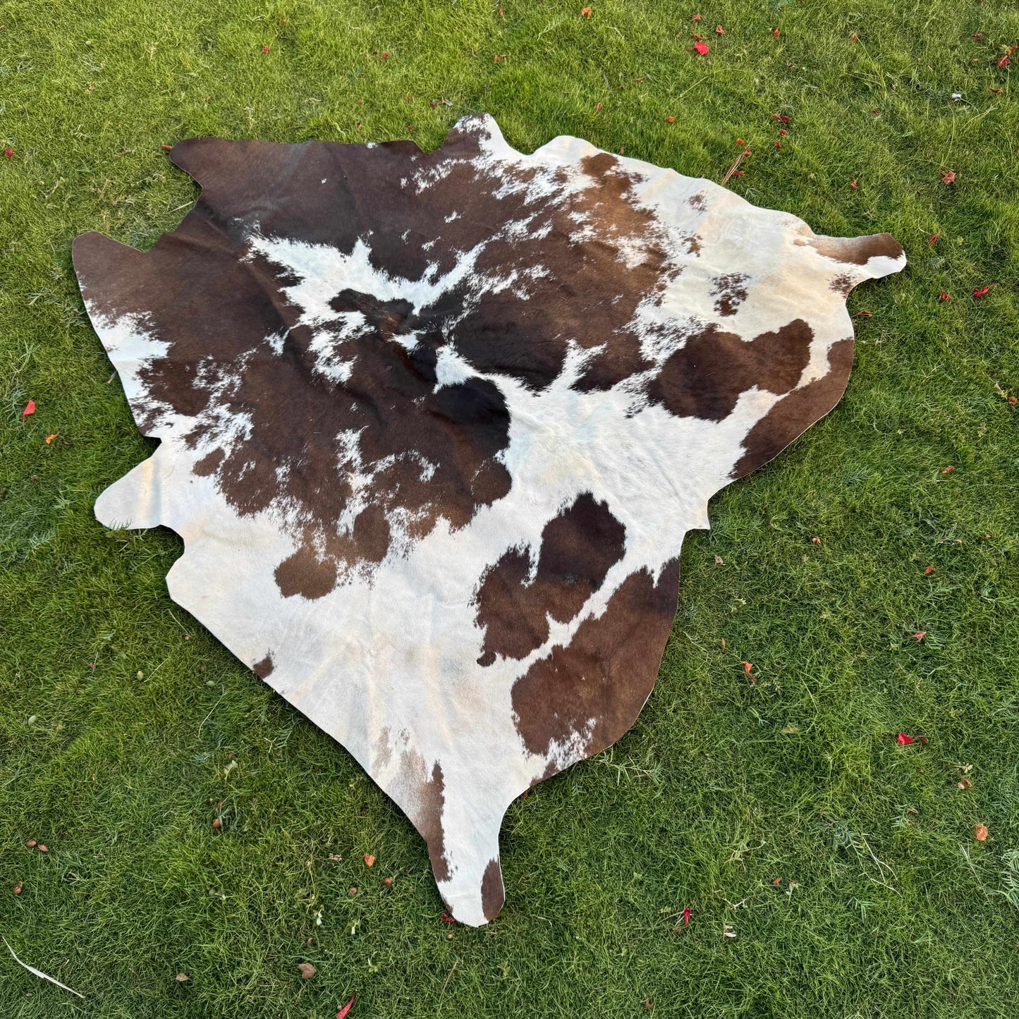 A natural cowhide rug with a brown and white mottled pattern, laid flat on a green grass lawn.