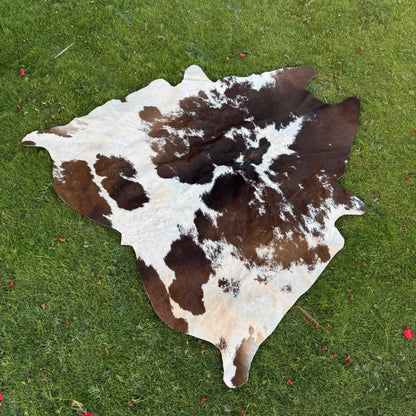 A natural cowhide rug with a brown and white spotted pattern laid out on green grass.