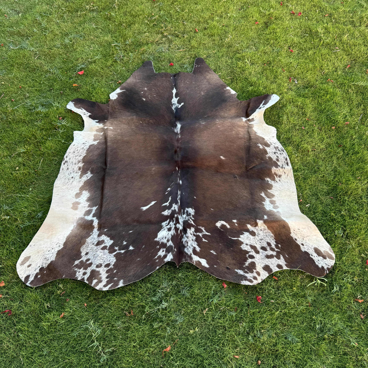 A natural cowhide rug with a brown and white spotted pattern, laid flat on a green grass lawn.