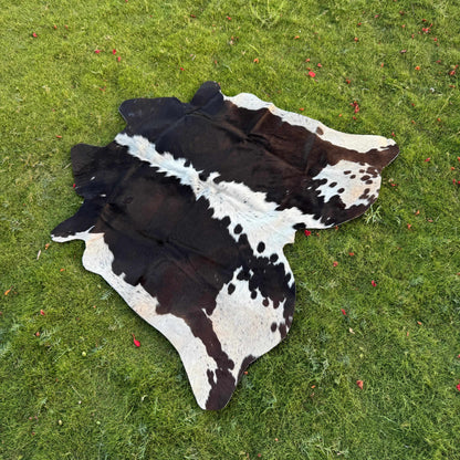 A natural black and white cowhide rug laid flat on a green grass lawn.