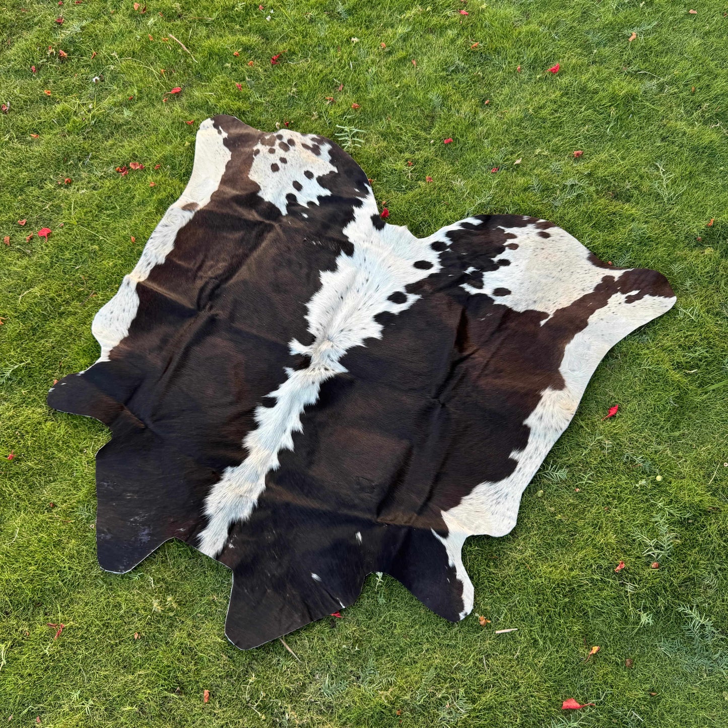 Natural Cowhide Rug Black Brown White Striped – Genuine Symmetrical Area Rug