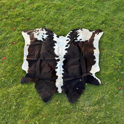 A natural black and white cowhide rug laid flat on a green grass lawn.