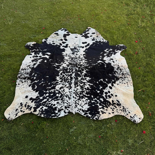 A black and white cowhide rug laid flat on a green grass lawn.