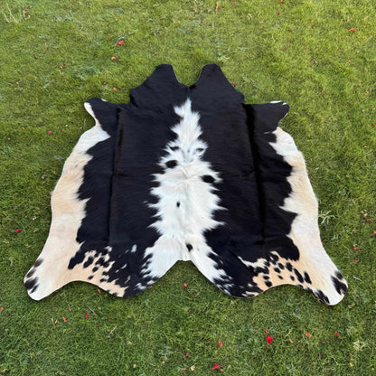 A black and white cowhide rug laid flat on a green grass lawn.