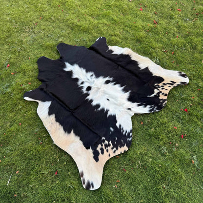 A black and white cowhide rug laid flat on a green grass lawn.