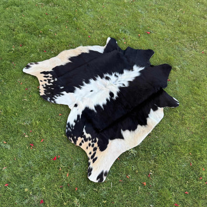 A black and white cowhide rug laid flat on a green grass lawn.