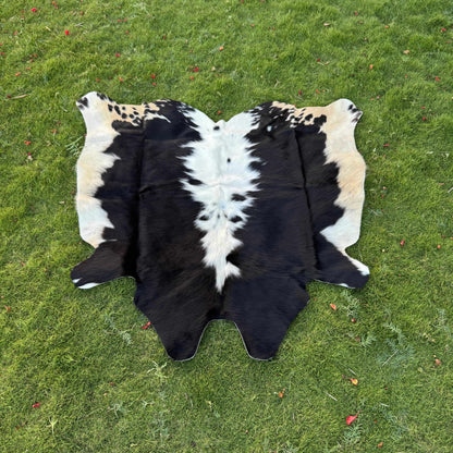 A black and white cowhide rug laid flat on a green grass lawn.