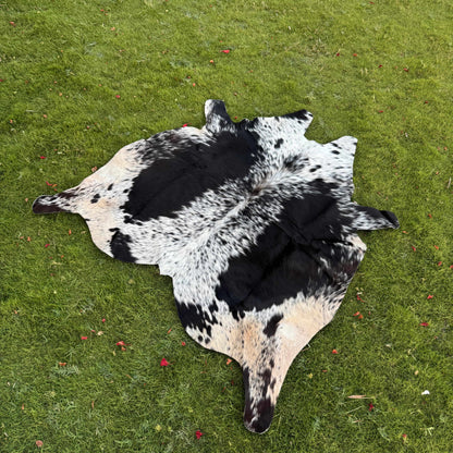 A natural black and white cowhide rug laid flat on a green grass lawn.