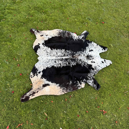 A natural cowhide rug with a black, white, and tan spotted pattern laid out on a green grass lawn.