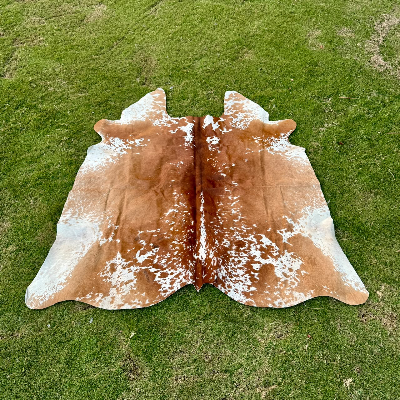 A natural cowhide rug with a brown and white speckled pattern, laid flat on a green grass lawn.
